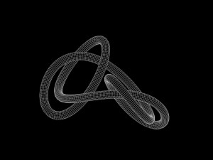 Granny Knot 3D Model