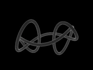 Square Knot 3D Model