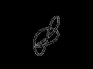 Knot 1 3D Model