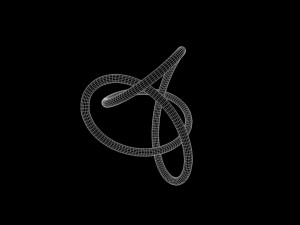 Knot 2 3D Model