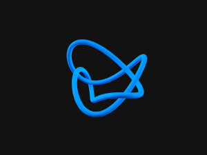 Knot 4 Model 3D