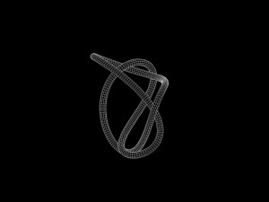 Knot 4 Model 3D