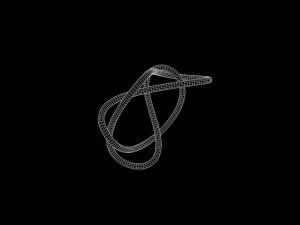 Knot 5 3D Model