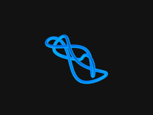 Knot 6 3D Model