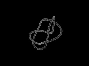 Knot 6 3D Model