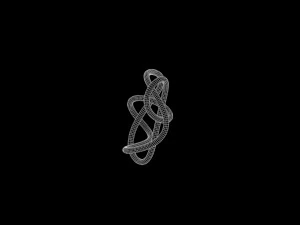 Knot 6 3D Model