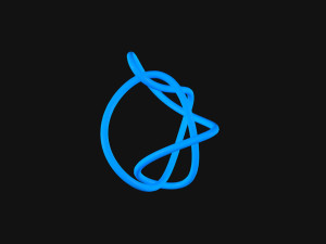Knot 7 3Dモデル