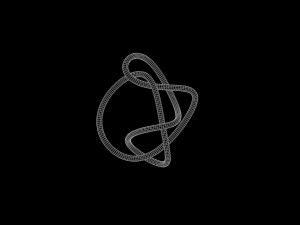 Knot 7 3Dモデル