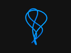 Knot 10 Modello 3D