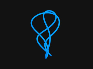 Knot 10 Modello 3D
