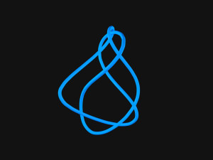 Knot 10 Modello 3D