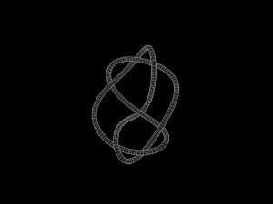 Knot 11 3D 模型