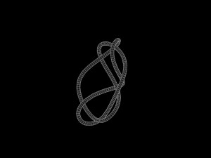 Knot 11 3D 模型