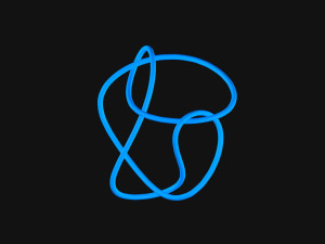 Knot 13 Model 3D
