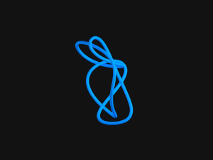 Knot 13 Model 3D
