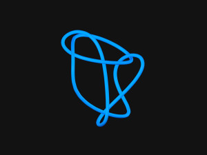 Knot 13 Model 3D