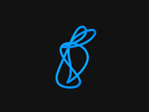Knot 13 Model 3D