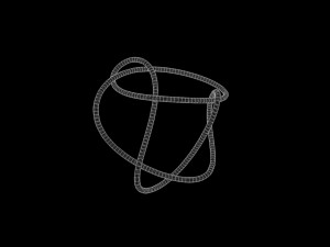 Knot 13 Model 3D