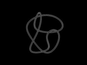 Knot 13 Model 3D