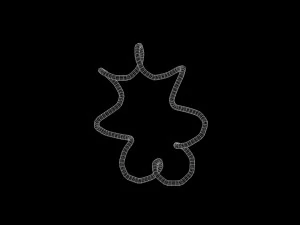 Torus Knot 2 3D Model