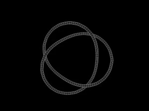Torus Knot 3 3D Model
