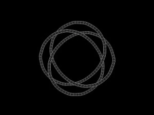 토러스 매듭 4 3D 모델