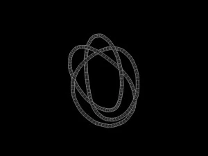 토러스 매듭 4 3D 모델