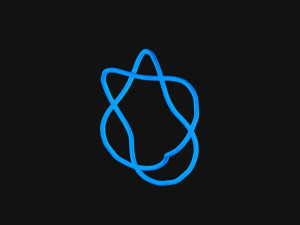 Torus Knot 5 3D Модель
