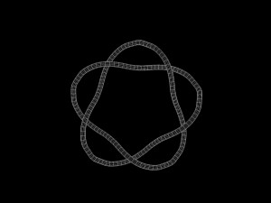 Torus Knot 5 3D Модель