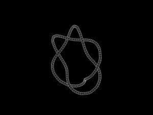 Torus Knot 5 3D Модель