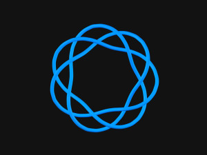 Torus Knot 6 3Dモデル
