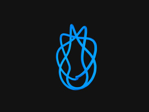 Torus Knot 6 3D 모델
