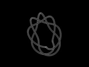 Torus Knot 6 3D Model