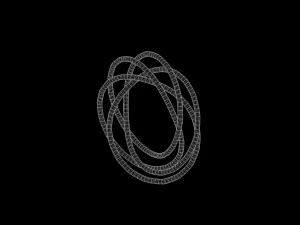 Torus Knot 8 3D Model