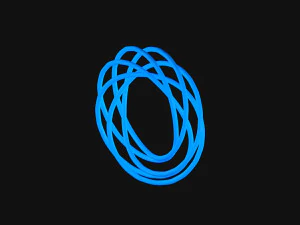 Torus Knot 9 3D Model