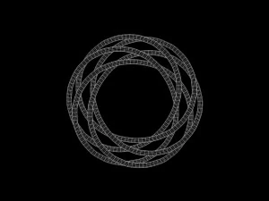 Torus Knot 9 3D Model