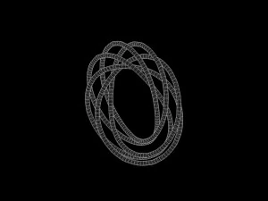Torus Knot 9 3D Model