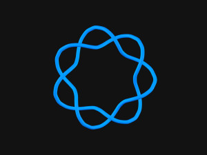 Torus Knot 10 3D Model
