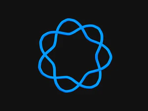 トーラスノット 10 3Dモデル