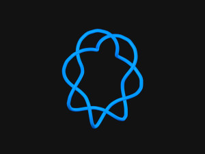 Torus Knot 10 3D Модель