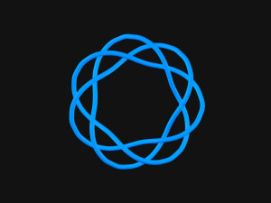 Torus Knot 11 3D Model