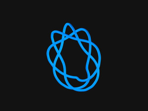 Torus Knot 11 3D मॉडल