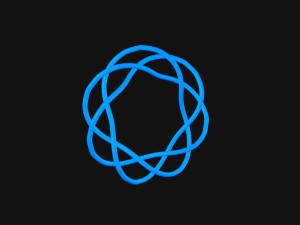 Torus Knot 11 3D मॉडल