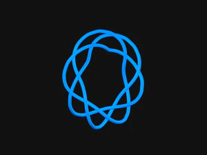 Torus Knot 11 3D Model
