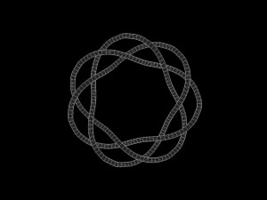 Torus Knot 11 3D Model