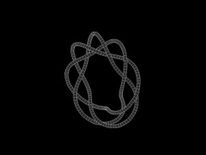 Torus Knot 11 3D Model