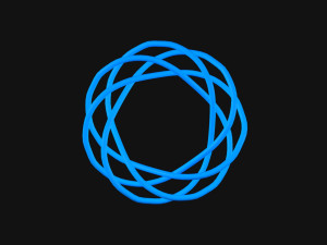 Torus Knot 12 3D Model