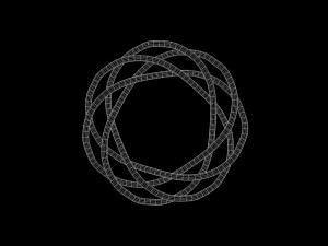 Torus Knot 12 Modelo 3D