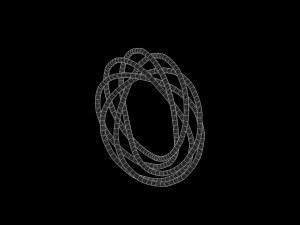 Torus Knot 13 Model 3D