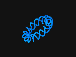 Torus Knot 15 3D Model
